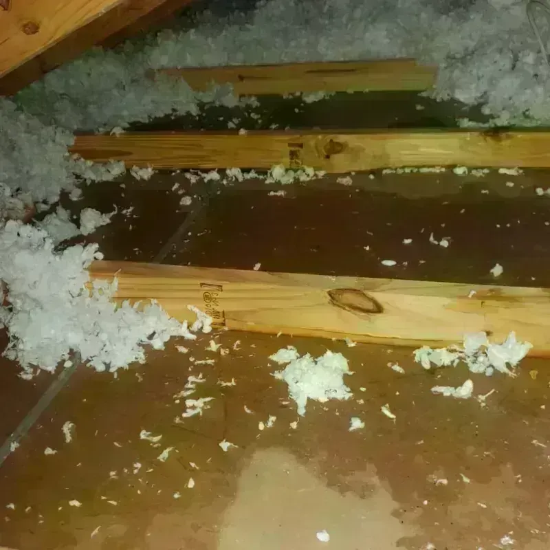 Attic Water Damage in Vernonia, OR