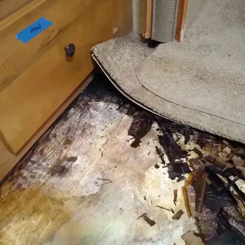 Best Wood Floor Water Damage Service in Vernonia, OR